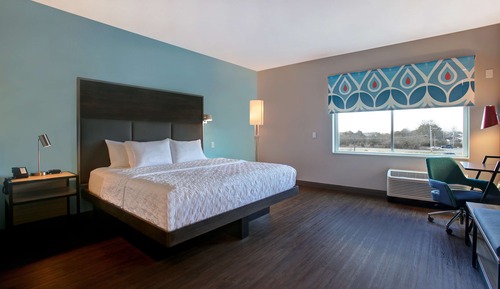 Habitación, 1 cama de matrimonio grande, accesible para personas con discapacidad (Roll-In Shower)