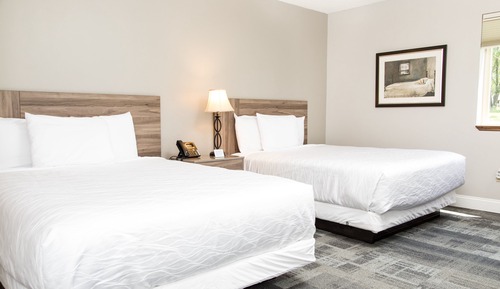 Habitación básica doble, 2 camas de matrimonio