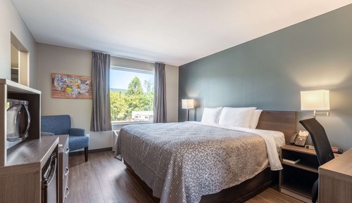 Habitación estándar, 1 cama de matrimonio grande, no fumadores