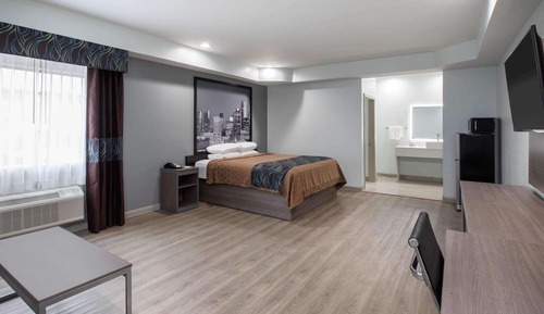 Habitación, 1 cama de matrimonio grande