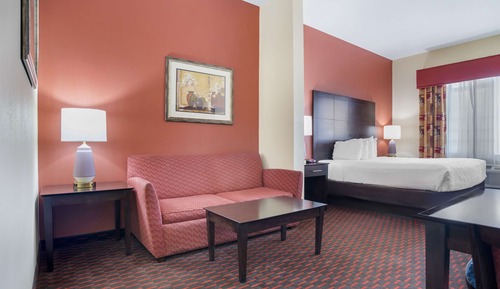 Suite, 1 cama de matrimonio grande, accesible para personas con discapacidad (with Sofabed)