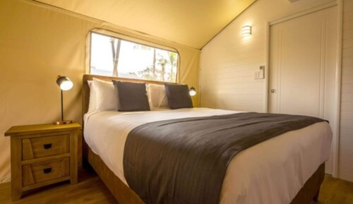 Tienda Deluxe (Safari)