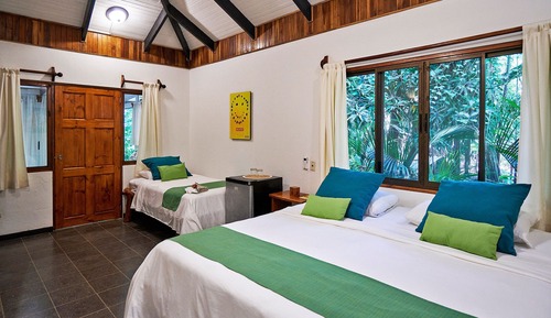 Habitación estándar, vistas al jardín