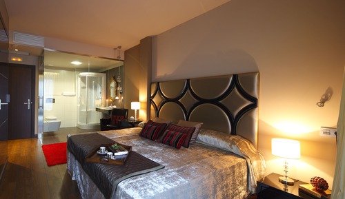 Habitación Deluxe con 1 cama doble o 2 individuales