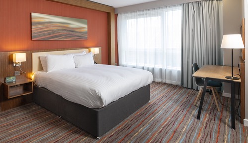 Habitación estándar, 1 cama doble (with Minifridge)