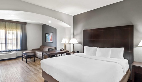 Habitación Deluxe, 1 cama de matrimonio grande, no fumadores (Deluxe Executive Room)