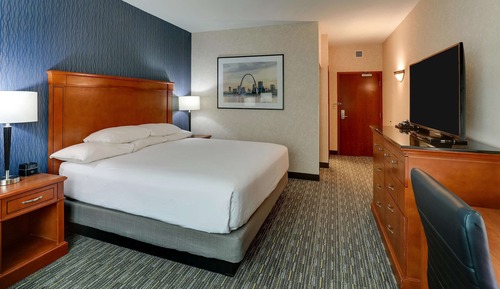 Habitación Deluxe, 1 cama de matrimonio grande, frigorífico y microondas