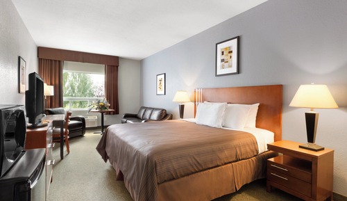 Habitación ejecutiva, 1 cama de matrimonio grande con sofá cama, no fumadores