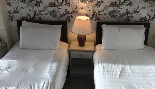 Habitación Premier con 1 cama doble o 2 individuales