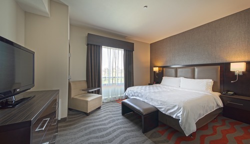 Habitación estándar, 1 cama de matrimonio grande, accesible para personas con discapacidad