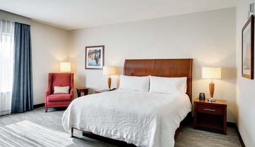 Habitación, 1 cama de matrimonio grande, accesible para personas con discapacidad (Roll-in Shower)