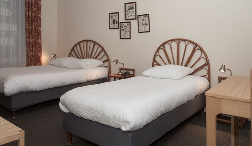 Habitación estándar con 2 camas individuales