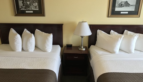 Habitación estándar, 2 camas de matrimonio, no fumadores (Pet Friendly)