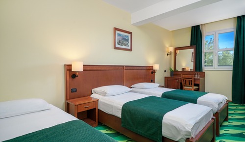 Habitación estándar con 1 cama doble o 2 individuales, 1 habitación, balcón