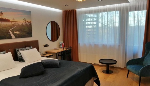 Habitación doble superior, 1 cama de matrimonio