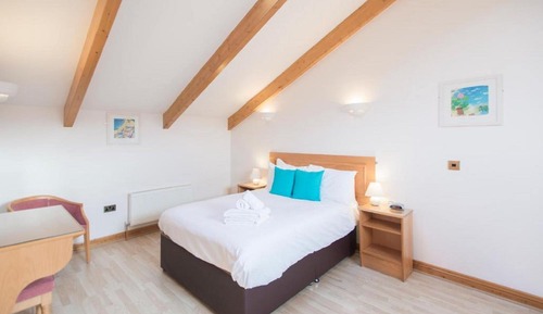 Apartamento Gallery, 1 habitación