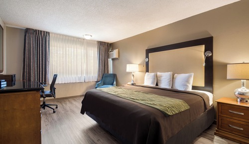 Habitación estándar, 1 cama de matrimonio grande, no fumadores