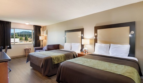 Suite, varias camas, no fumadores (Efficiency)