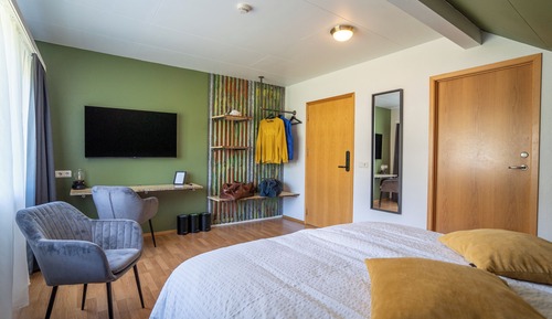 Habitación doble, vistas a la montaña