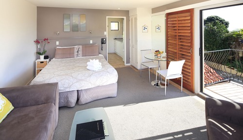 Estudio estándar, vistas al patio