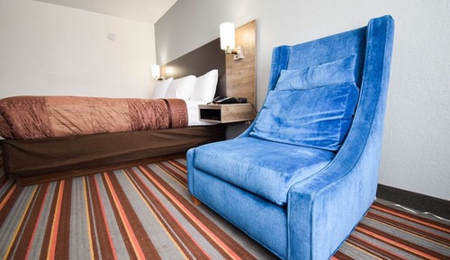 Habitación estándar, 1 cama de matrimonio grande, no fumadores (Pet-Friendly)