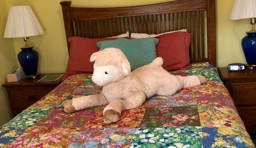 Habitación Confort (Yellow)