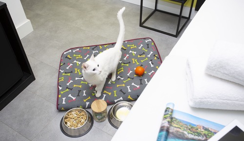 Habitación Elite doble de uso individual, balcón, vistas al mar