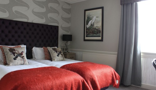 Habitación ejecutiva con 1 cama doble o 2 individuales (County Double or Twin Room)