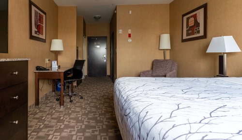 Suite ejecutiva, 1 cama de matrimonio grande, no fumadores, frigorífico y microondas (with Sofabed)