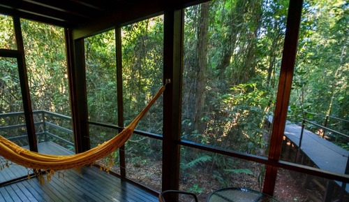 Habitación superior (Jungle)