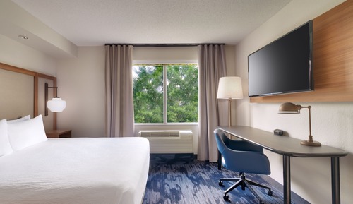 Suite, 1 cama de matrimonio grande con sofá cama