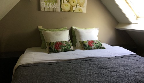 Habitación cuádruple estándar