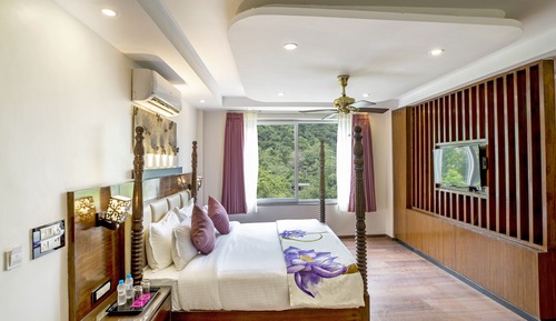 Suite estudio básica