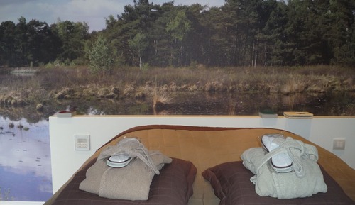 Habitación Deluxe doble, terraza