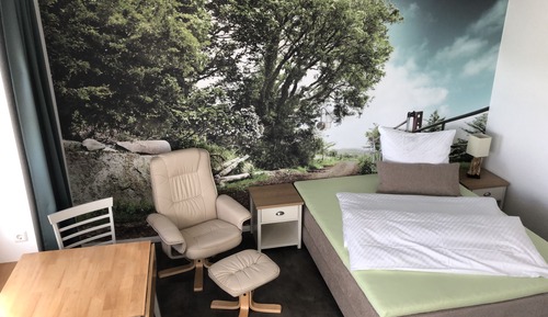 Habitación individual, accesible para personas con discapacidad, baño privado