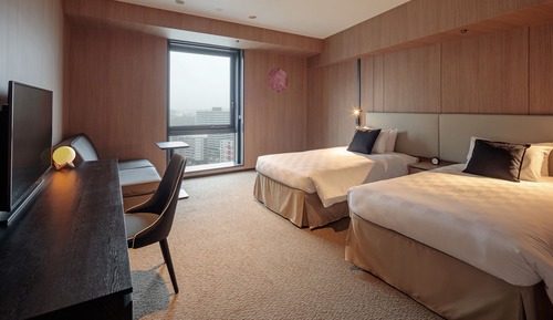 Habitación Deluxe con 2 camas individuales