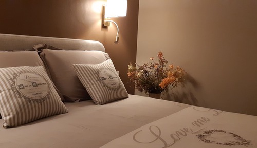 Studio Suite Tourterelle