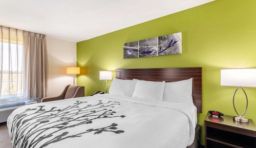 Habitación estándar, 1 cama de matrimonio grande, no fumadores