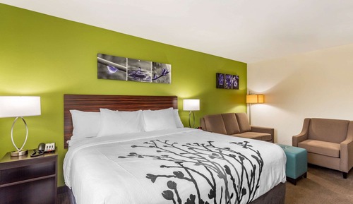 Suite, 1 cama de matrimonio grande con sofá cama, no fumadores