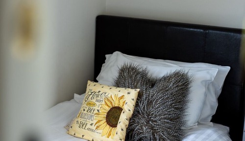 Habitación individual estándar, baño privado, vistas al parque (Single Room)