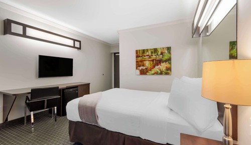 Habitación estándar, 1 cama de matrimonio, no fumadores