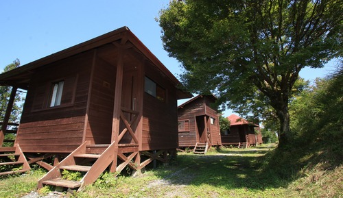 Habitación (Bungalow)