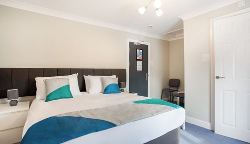 Habitación estándar doble, 1 cama doble