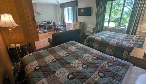 Suite estudio Premium, 2 camas de matrimonio, cocina básica, vistas al jardín