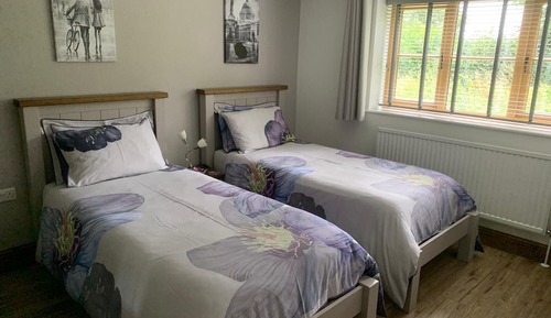 Habitación con 1 cama doble o 2 individuales (Meadow)