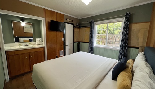 Premium Suite, 1 King Bed with Sofa bed- Pet Friendly