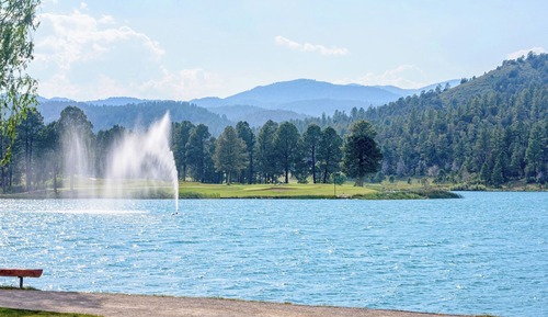 Estudio (3 Bedrooms)