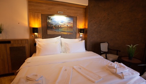 Habitación Confort con 1 cama doble o 2 individuales