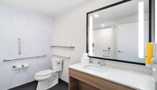 Habitación, 1 cama de matrimonio grande (Hearing, Roll-In Shower)