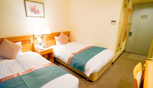 Habitación básica con 2 camas individuales, no fumadores